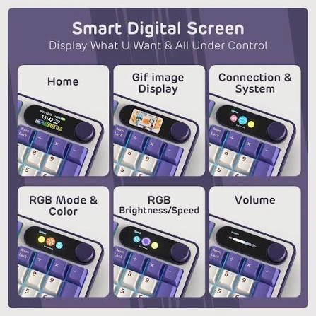 RK Royal Lkudge S98 SMart Digital Screen
